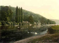 Berkshire Cliveden Woods from Ferry Vintage A4 Photo Print
