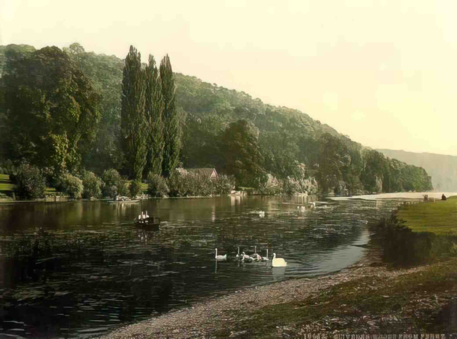 Berkshire Cliveden Woods from Ferry Vintage A4 Photo Print