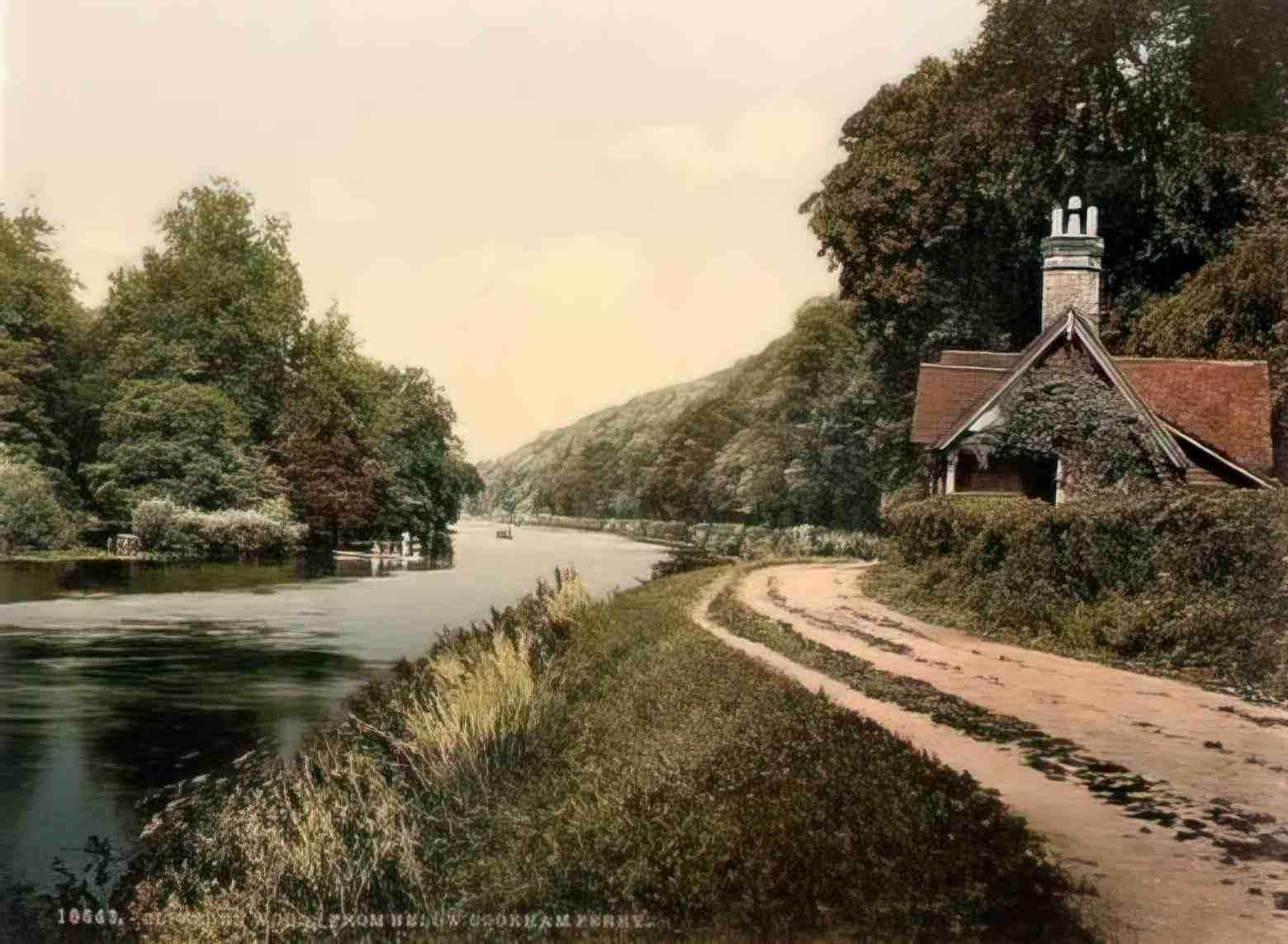 Berkshire Cliveden Woods from below Cookham Ferry Vintage A4 Photo Print