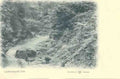 Berwickshire Cockburnspath Glen 1904 Vintage A4 Photo Print