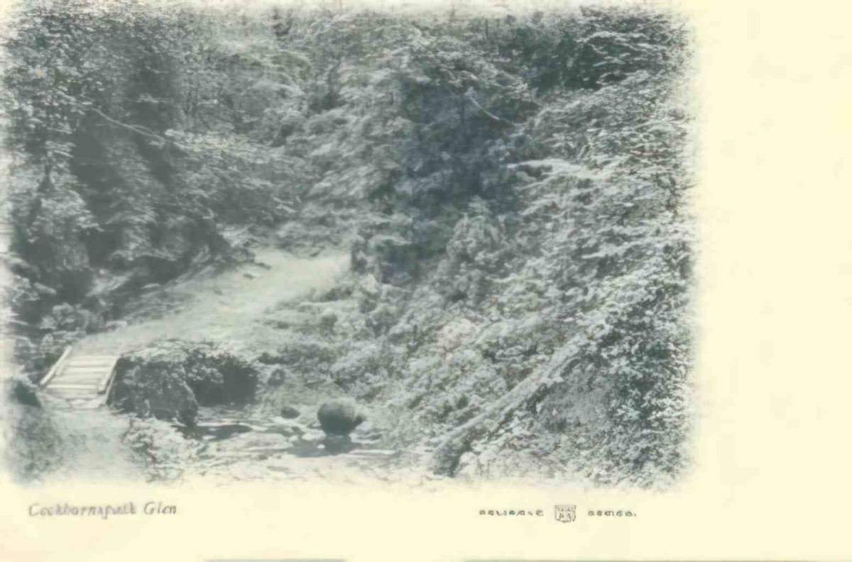 Berwickshire Cockburnspath Glen 1904 Vintage A4 Photo Print