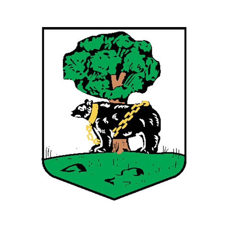 Berwickshire County Coat Of Arms N918 A4 Photo Print