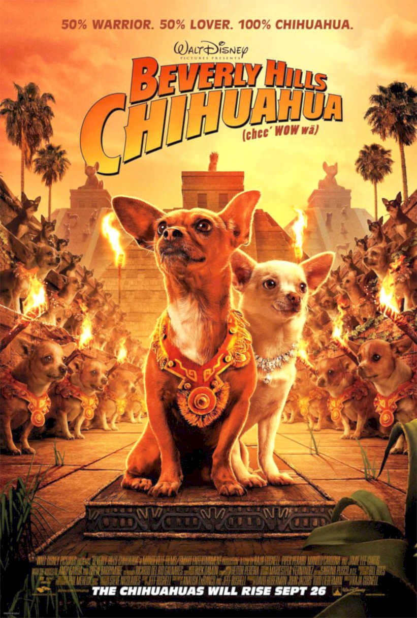 Beverly Hills Chihuahua Vintage Retro Advert Poster A4 Photo Print