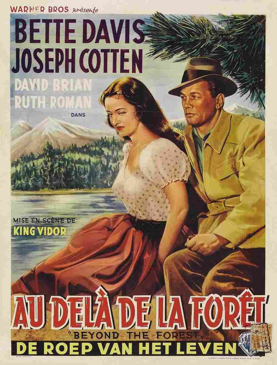Beyond the Forest 02  film star poster A4 Photo Print