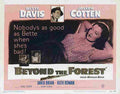 Beyond the Forest 03  film star poster A4 Photo Print