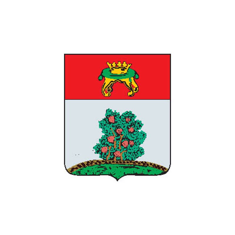 Bezhetsk1780 City Coat Of Arms N3815 A4 Photo Print