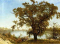 Bierstadt Albert A View From Sacramento A4 Photo Print