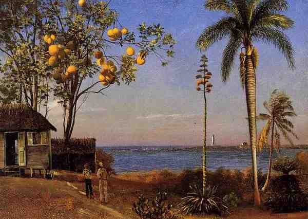 Bierstadt Albert A View In The Bahamas A4 Photo Print
