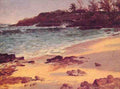 Bierstadt Albert Bahama Cove A4 Photo Print