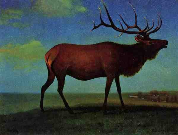 Bierstadt Albert Elk A4 Photo Print