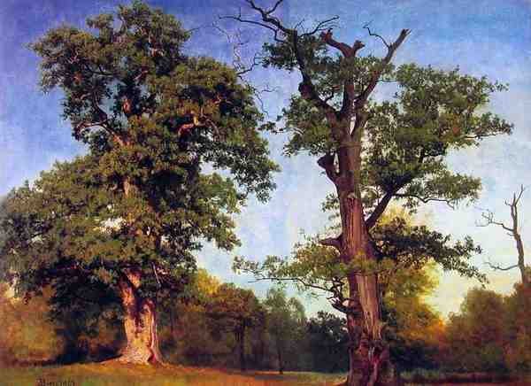 Bierstadt Albert Pioneers Of The Woods A4 Photo Print
