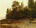 Bierstadt Albert The Fallen Tree A4 Photo Print