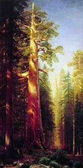 Bierstadt Albert The Great Trees A4 Photo Print