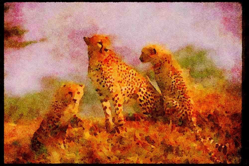 Big Cat 134002 Cheetah Trio Skylined On Hill A4 Limited Edition Watercolour Print