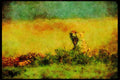 Big Cat 134009 Cheetah Yawning A4 Limited Edition Watercolour Print