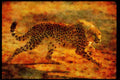 Big Cat 134010 Cheetah Running A4 Limited Edition Watercolour Print