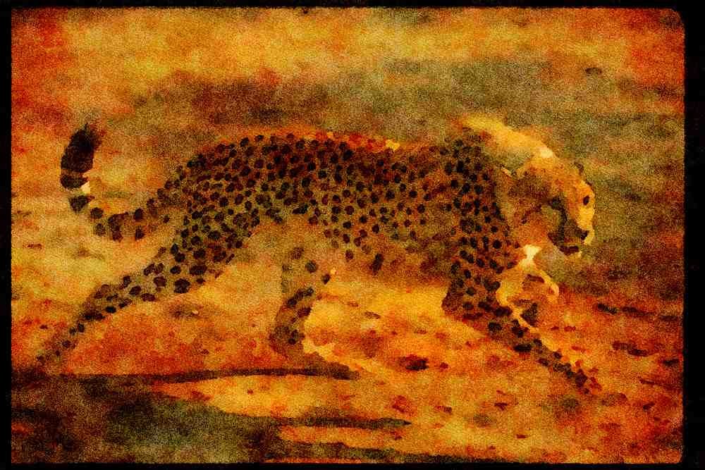 Big Cat 134010 Cheetah Running A4 Limited Edition Watercolour Print