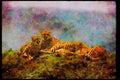 Big Cat 134014 Cheetah Trio Skylined On A Hill A4 Limited Edition Watercolour Print