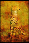 Big Cat 134019 Cheetah Sitting A4 Limited Edition Watercolour Print