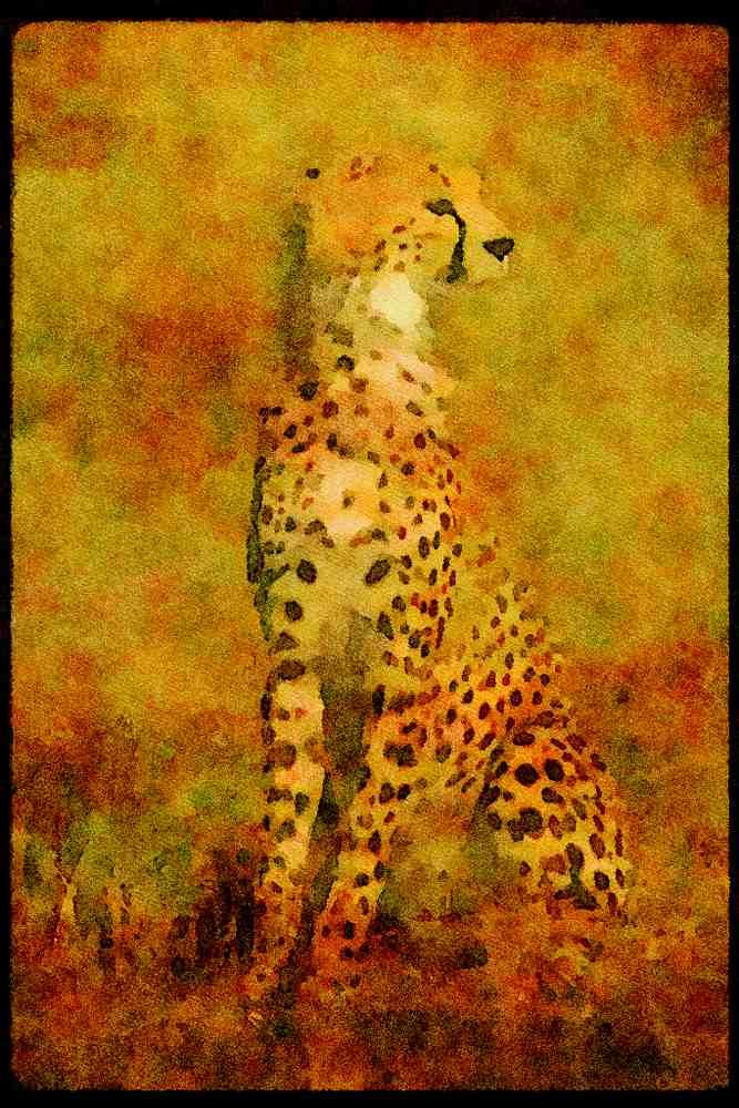 Big Cat 134019 Cheetah Sitting A4 Limited Edition Watercolour Print