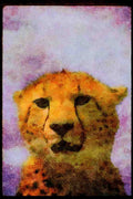 Big Cat 134022 Cheetah Head Shot A4 Limited Edition Watercolour Print