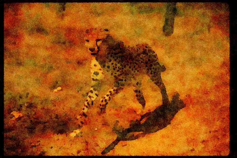Big Cat 134023 Cheetah Running A4 Limited Edition Watercolour Print