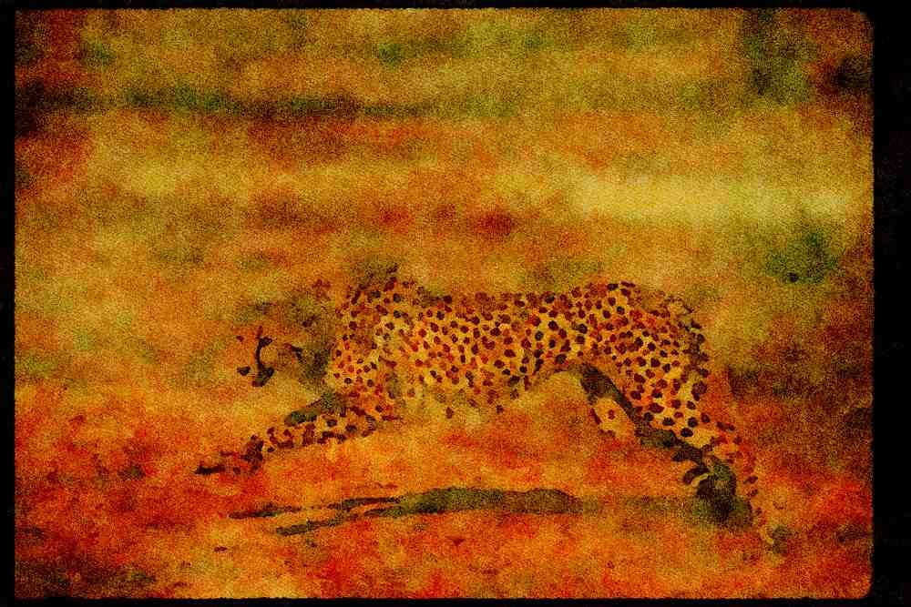 Big Cat 134024 Cheetah Running A4 Limited Edition Watercolour Print