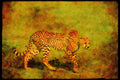 Big Cat 134025 Cheetah Ready To Hunt A4 Limited Edition Watercolour Print