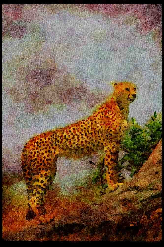 Big Cat 134030 Cheetah Skylined On Log A4 Limited Edition Watercolour Print