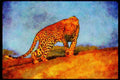 Big Cat 134034 Leopard Skylined On A Rock A4 Limited Edition Watercolour Print