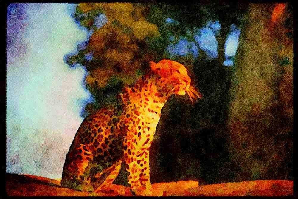 Big Cat 134039 Leopard Sitting On A Rock A4 Limited Edition Watercolour Print