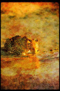Big Cat 134041 Leopard Drinking A4 Limited Edition Watercolour Print