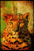 Big Cat 134043 Leopard A4 Limited Edition Watercolour Print