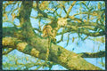 Big Cat 134049 Leopard Sitting In Tree A4 Limited Edition Watercolour Print