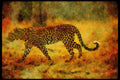 Big Cat 134052 Leopard A4 Limited Edition Watercolour Print