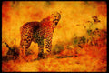 Big Cat 134058 Leopard Looking Up A4 Limited Edition Watercolour Print