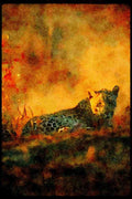 Big Cat 134060 Leopard A4 Limited Edition Watercolour Print