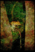 Big Cat 134062 Leopard In A Tree At Night A4 Limited Edition Watercolour Print
