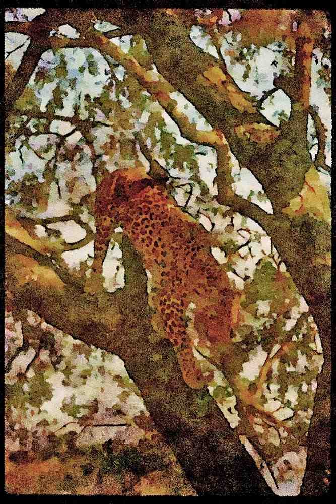 Big Cat 134067 Leopard In Tree A4 Limited Edition Watercolour Print