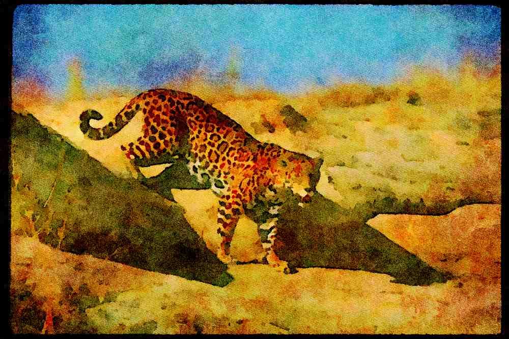 Big Cat 134070 Jaguar A4 Limited Edition Watercolour Print
