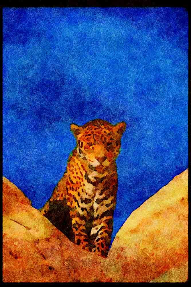 Big Cat 134071 Jaguar A4 Limited Edition Watercolour Print