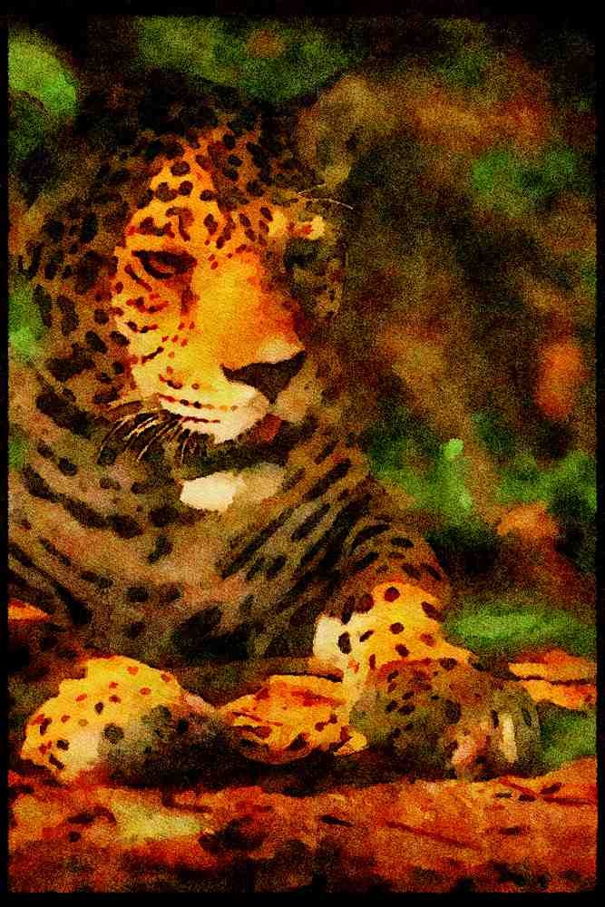 Big Cat 134076 Jaguar, Head Shot A4 Limited Edition Watercolour Print