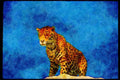 Big Cat 134082 Jaguar A4 Limited Edition Watercolour Print