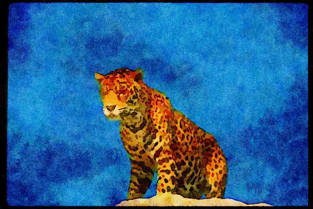 Big Cat 134082 Jaguar A4 Limited Edition Watercolour Print