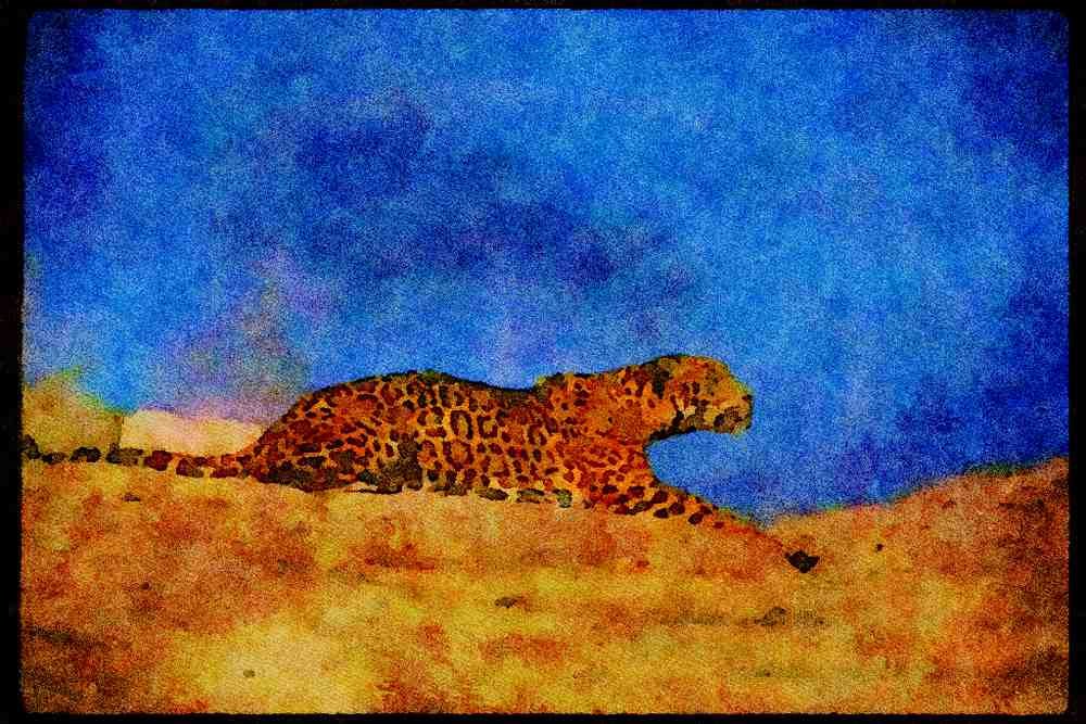 Big Cat 134088 Skylined Jaguar A4 Limited Edition Watercolour Print