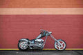 Big Dog K9 13971 10 Car A4 Photo Print