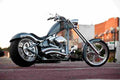 Big Dog K9 13971 12 Car A4 Photo Print