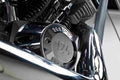 Big Dog K9 13971 13 Car A4 Photo Print