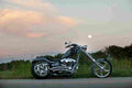 Big Dog K9 13971 7 Car A4 Photo Print