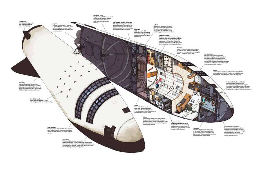 Big Falcon Rocket cutaway A4 Photo Print